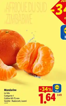 Lidl Mandarine offre