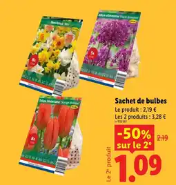 Lidl Holland Selection Sachet de bulbes offre
