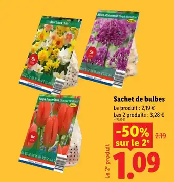 Holland Selection Sachet de bulbes