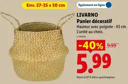 Lidl LIVARNO Panier décoratif offre