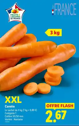Lidl Carotte offre