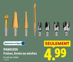 Lidl PARKSIDE Fraises, forets ou mèches offre