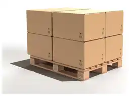 Brico Dépôt Elagueuse thermique 25,4 cm3 25 cm offre