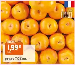 Fresh prune TC Sun. offre