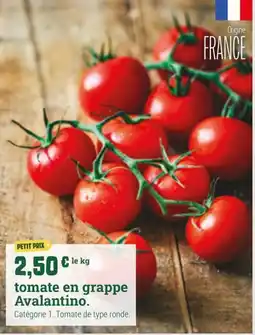Fresh Avalantino tomate en grappe offre