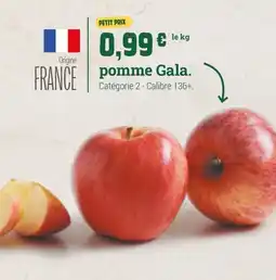 Fresh pomme Gala offre