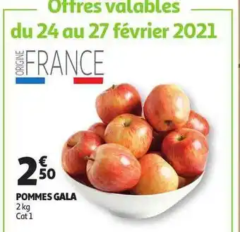 Auchan Direct Pommes Gala offre
