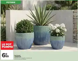 Carrefour Market CARREFOUR Pot Pompeï offre