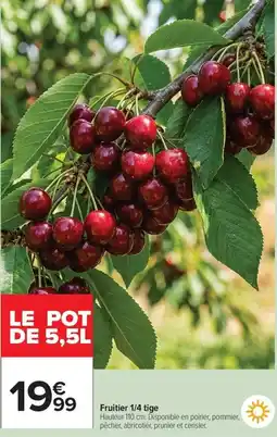 Carrefour Market Fruitier 1/4 tige offre