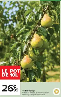 Carrefour Market Fruitier 1/2 tige offre