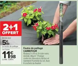 Carrefour Market CARREFOUR Feutre de paillage offre