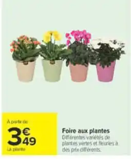 Carrefour Foire aux plantes offre