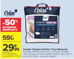 Carrefour Colas Normand Couette Soutien Sublime offre