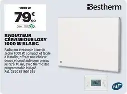 Brico Dépôt Facile - radiateur céramique lotty 1000 un blanc offre