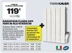 Brico Dépôt Radiateur fluide opp 1000 w 47x58cm offre