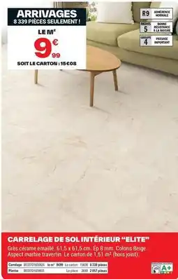 Brico Dépôt Elite - carrelage de sol intérieur elite offre