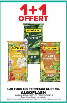 Carrefour ALGOFLASH Sur tous les terreaux offre