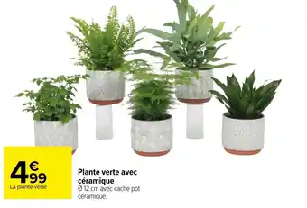 Carrefour Plante verte avec céramique offre