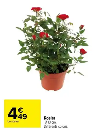 Carrefour Rosier offre
