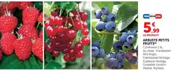 Hyper U ARBUSTE PETITS FRUITS offre