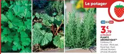 Hyper U Le potager offre