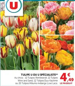 Hyper U TULIPE U offre