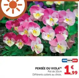 Hyper U PENSÉE OU VIOLA offre