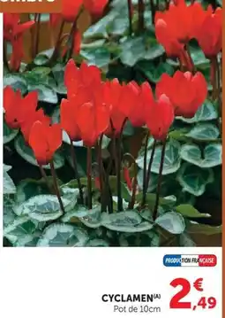 Super U CYCLAMEN(A) offre