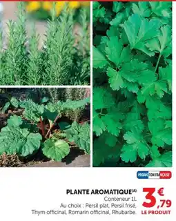 Super U PLANTE AROMATIQUE offre