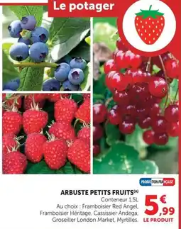 Super U ARBUSTE PETITS FRUITS offre