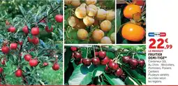 Super U LE PRODUIT FRUITIER DEMI-TIGE offre