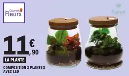 E.Leclerc Quartier Fleurs LA PLANTE offre