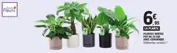 E.Leclerc Quartier Fleurs LA PLANTE offre