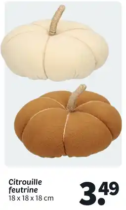 Wibra Citrouille feutrine offre