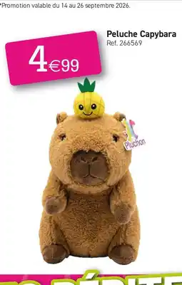 Kandy Peluche capybara offre