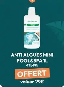 Irrijardin Anti algues mini pool&spa offre