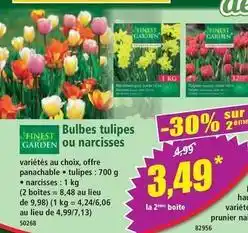 Norma Bulbes tulipes ou narcisses offre