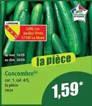 Norma Concombre offre