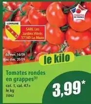 Norma Tomates rondes en grappes offre