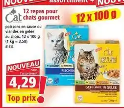 Norma Cat - 12 repas pour cat chats gourmet offre