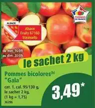 Norma Pommes bicolores gala offre