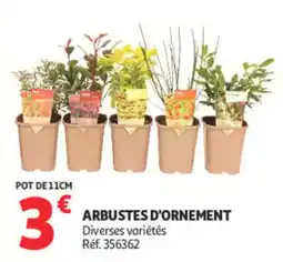 Auchan ARBUSTES D'ORNEMENT offre