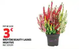 Auchan HIGH FIVE BRUYÈRE BEAUTY LADIES offre