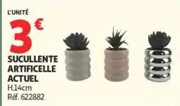 Auchan SUCULLENTE ARTIFICIELLE offre