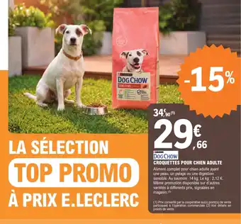 PURINA DOG CHOW