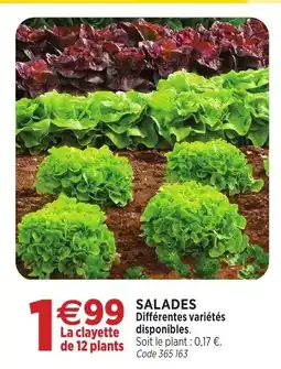 RAGT Jardin & Maison SALADES offre