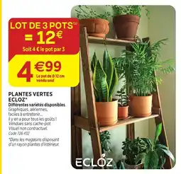 RAGT Jardin & Maison ECLOZ PLANTES VERTES offre