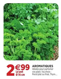 RAGT Jardin & Maison AROMATIQUES offre
