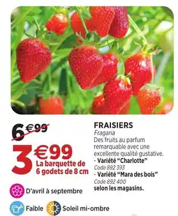 RAGT Jardin & Maison FRAISIERS offre