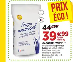 RAGT Jardin & Maison Gazon universel offre